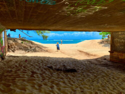 Turtle Beach, Oahu Hawaii 2021