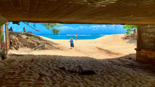 Turtle Beach, Oahu Hawaii 2021